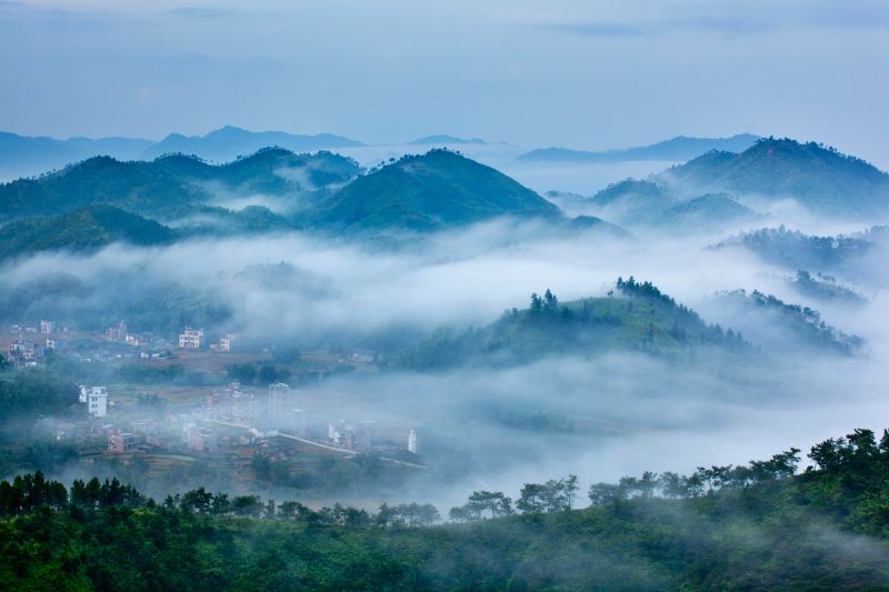 雾满山村